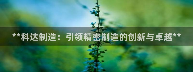 在彩神网输了六万多怎么拿回来