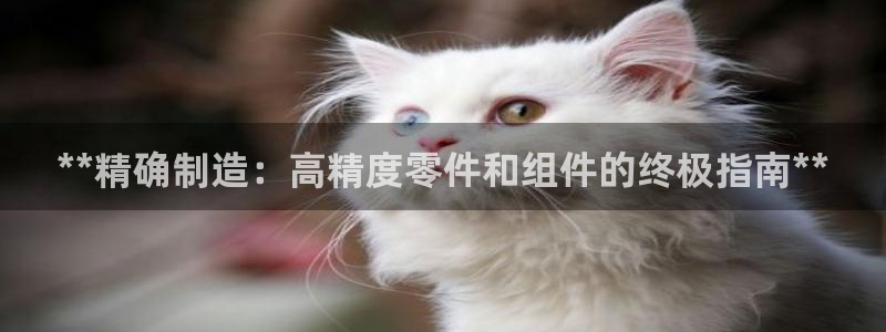彩神v大众娱乐