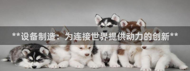 彩神数码科技有限公司：**设备制造：为连接世界提供动力的创新
