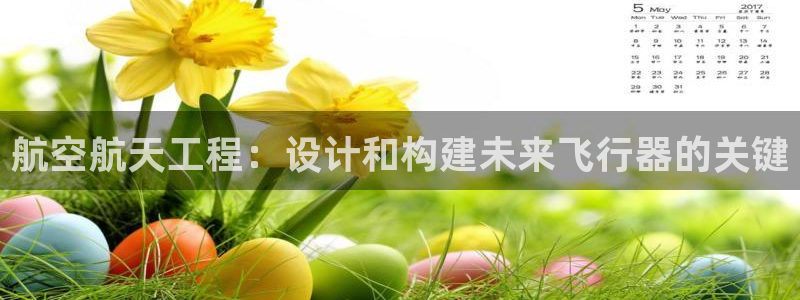 彩神购彩-购彩大厅入口计划群：航空航天工程：设计和构建未来飞