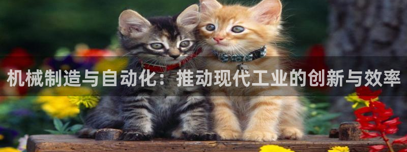 彩神团队是真的吗