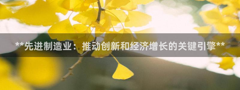 彩神v争霸有限公司：**先进制造业：推动创新和经济增长的关键