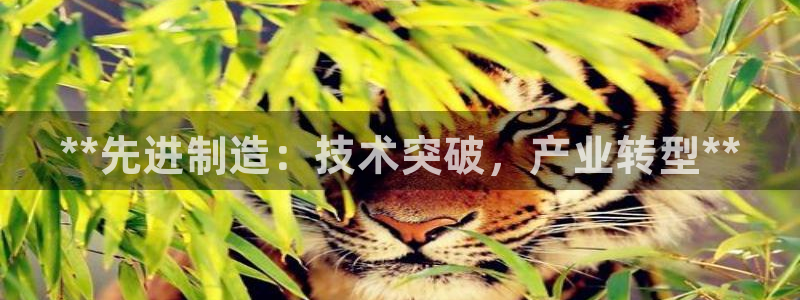 彩神v8下载