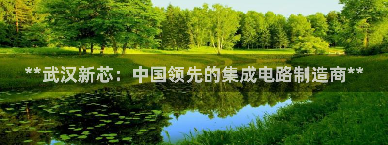 大发彩神争：**武汉新芯：中国领先的集成电路制造商**