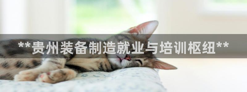 彩神V集团公司：**贵州装备制造就业与培训枢纽**