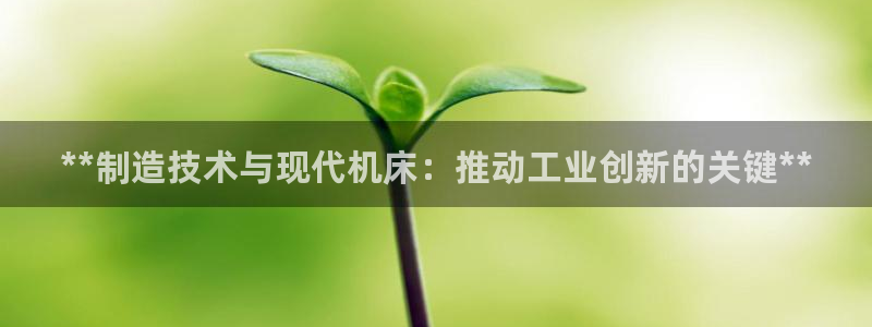 彩神ix能赚钱吗