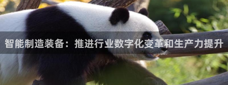 彩神V集团公司：智能制造装备：推进行业数字化变革和生产力提升
