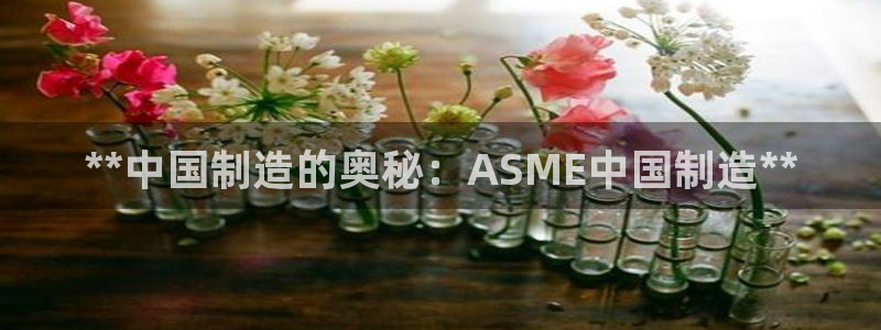 彩神iv是正规平台吗?：**中国制造的奥秘：ASME中国制造**