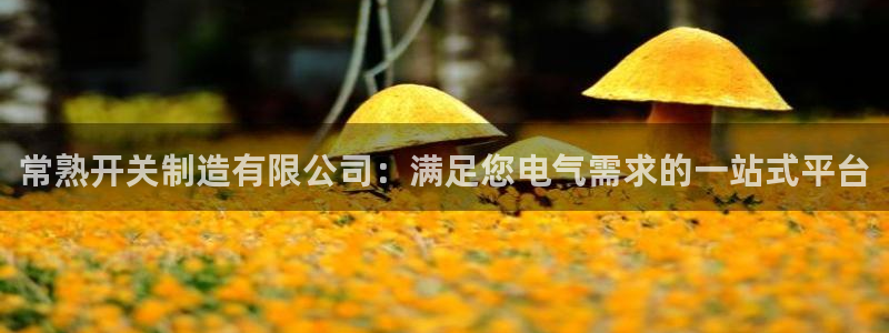 彩神赢的钱是哪里来的：常熟开关制造有限公司：满足您电气需求的一站式平台