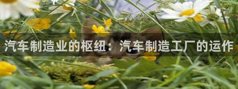 彩神旗下有哪些平台