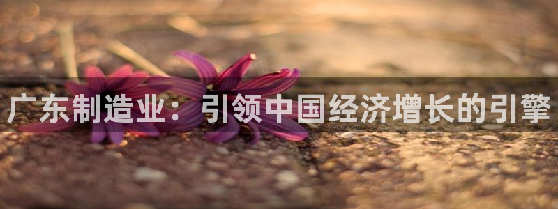 彩神8下载安卓版-彩神8(可提现)官网版1.0.0：广东制造