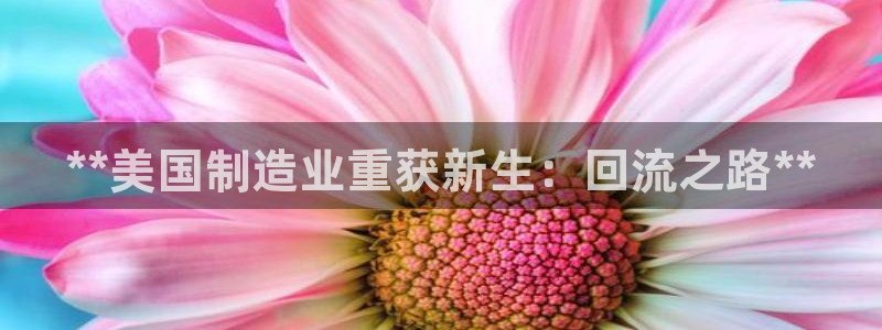 彩神旗下有哪些平台可以看