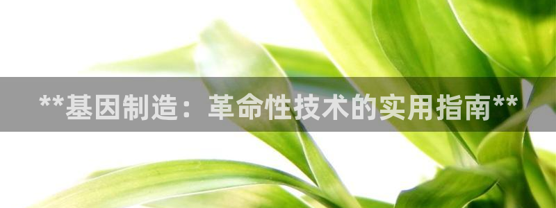 所有彩神购买首页都一样吗
