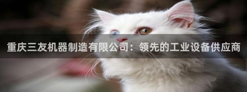 彩神v8是真的挣钱吗