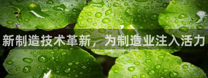 彩神ⅴll用户登录