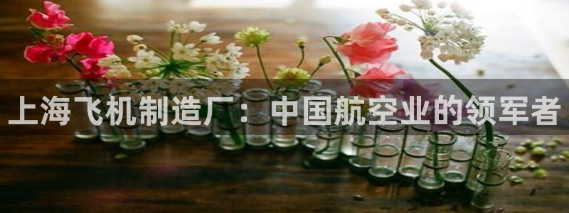 彩神vllⅰ购彩大厅