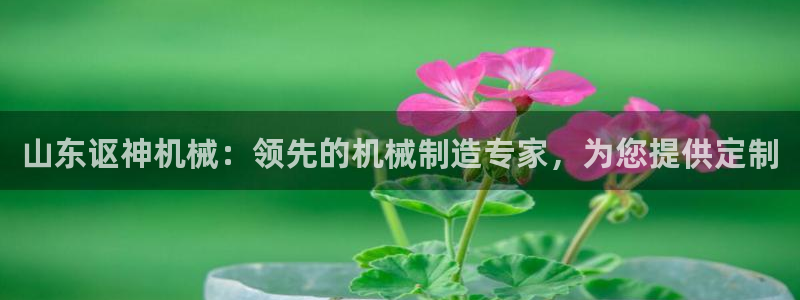 彩神赢的钱是哪里来的啊