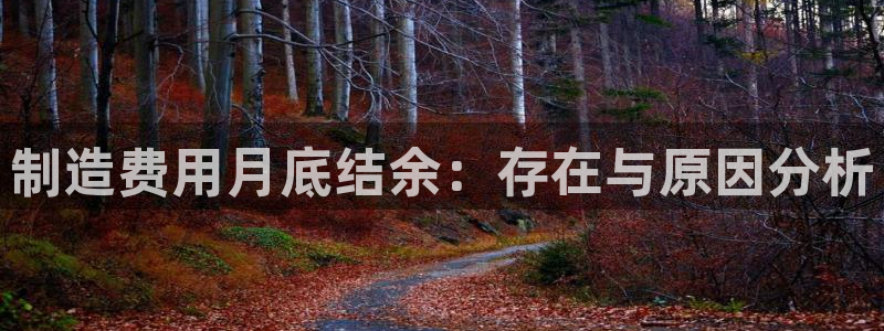 彩神v下载安装