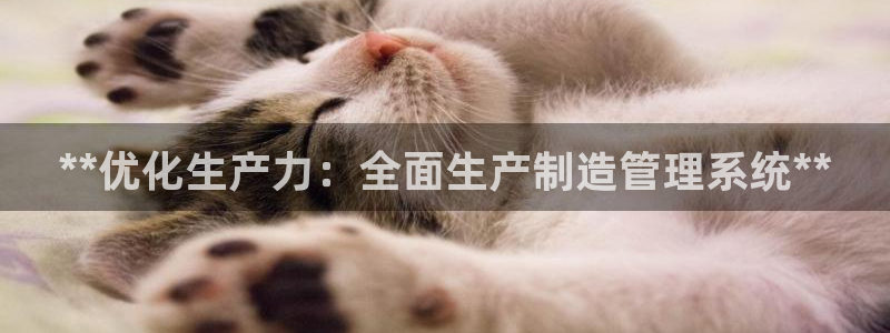 彩神旗下有哪些平台