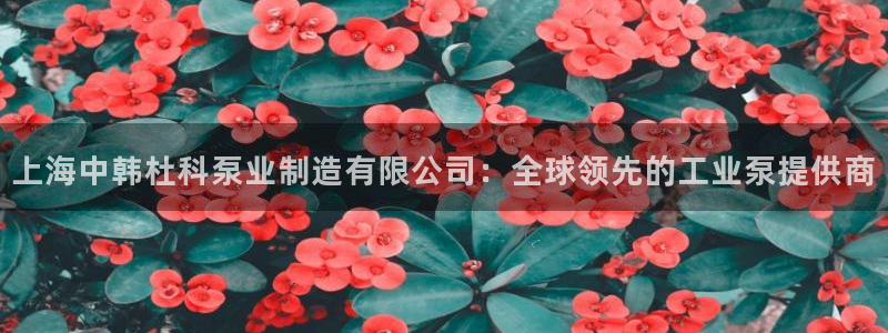 彩神可以提现吗
