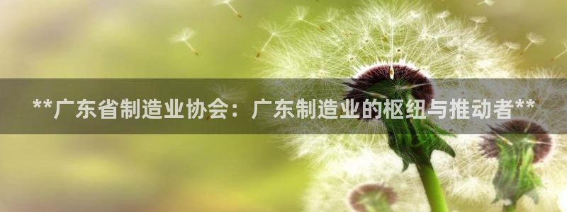 彩神网正规吗