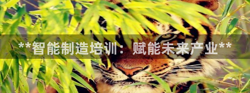 彩神购彩-购彩大厅入口计划群