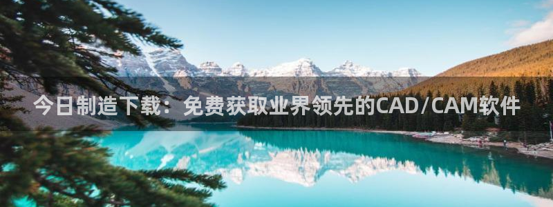 彩神app能挣到钱吗