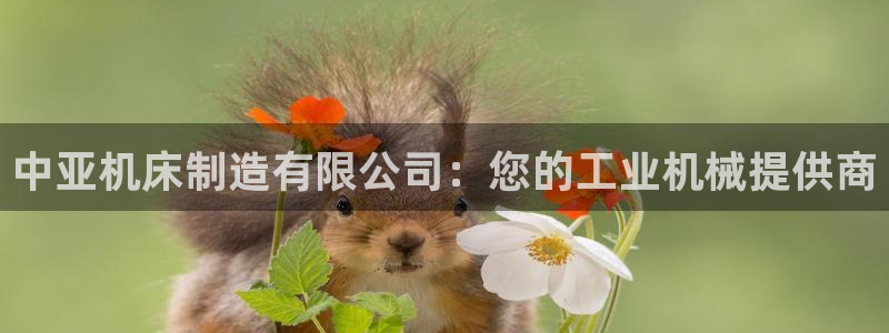 彩神v8是真的挣钱吗知乎
