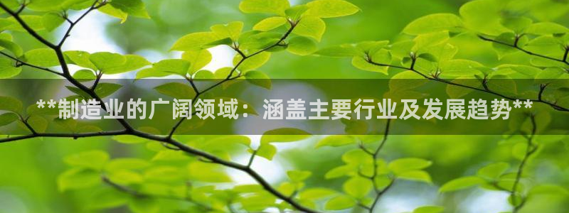 彩神Vll