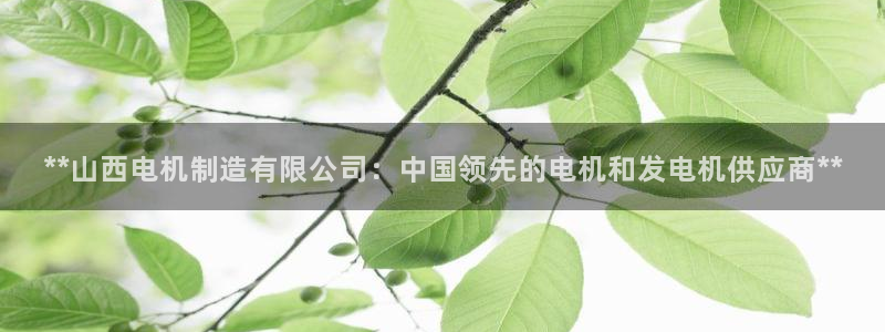 彩神赢的钱是哪里来的啊