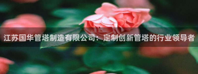 彩神官方网站登录是多少：江苏国华管塔制造有限公司：定制创新管