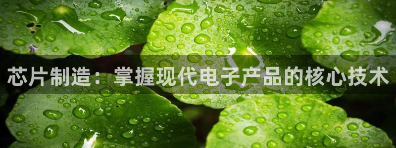 彩神平台可以破解吗：芯片制造：掌握现代电子产品的核心技术