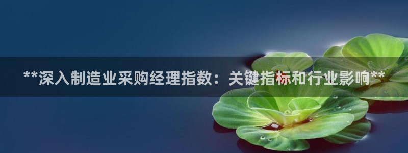 下载彩神v8：**深入制造业采购经理指数：关键指标和行业影响**