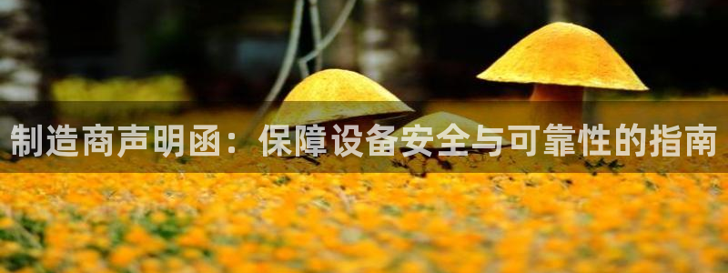 新版彩神v8登录：制造商声明函：保障设备安全与可靠性的指南