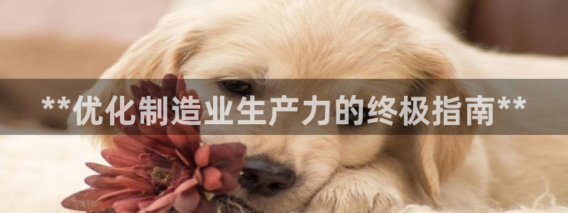 彩神平台可以破解吗：**优化制造业生产力的终极指南**
