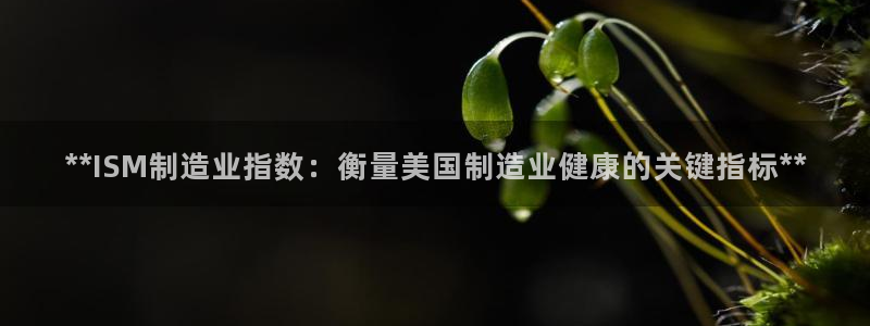 彩神网官网登录：**ISM制造业指数：衡量美国制造业健康的关