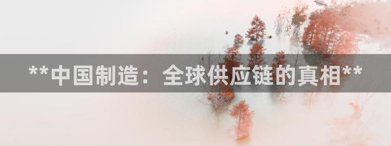 彩神v8是一个什么平台：**中国制造：全球供应链的真相**