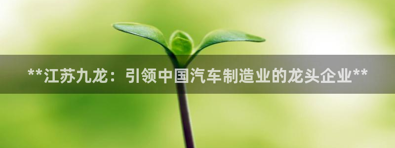 大发彩神最高邀请码：**江苏九龙：引领中国汽车制造业的龙头企业**
