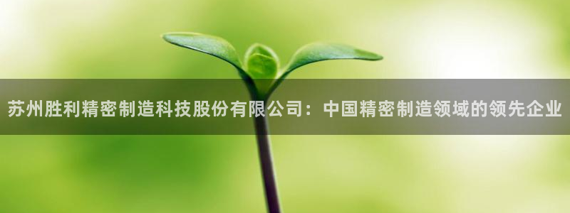 彩神购彩购彩大厅入口v：苏州胜利精密制造科技股份有限公司：中国精密制造领域的领先企业