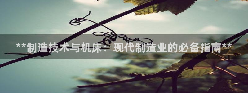 彩神8彩平台