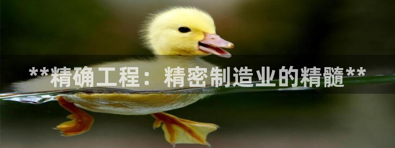 彩神是正规平台吗：**精确工程：精密制造业的精髓**