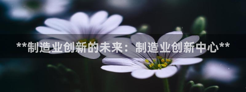 彩神赢钱了吗：**制造业创新的未来：制造业创新中心**