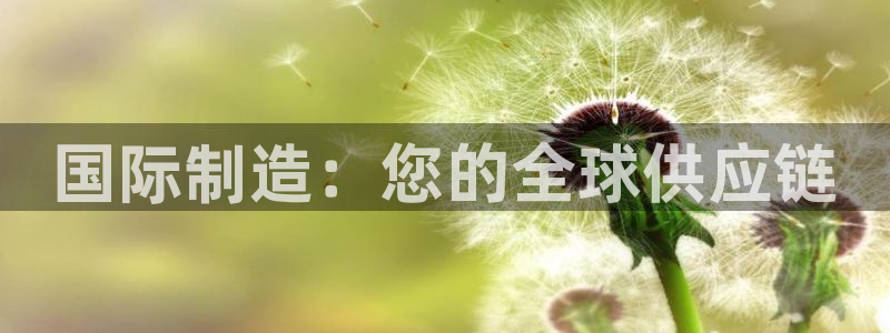 彩神V3大赢家：国际制造：您的全球供应链