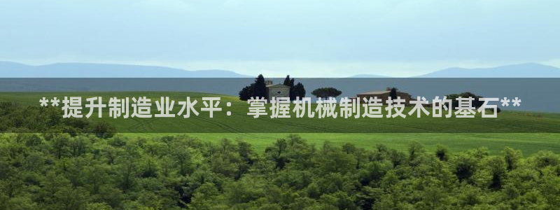 彩神vlll(中国)百度百科：**提升制造业水平：掌握机械制造技术的基石**
