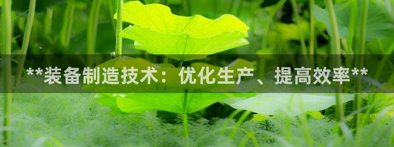 彩神用户登录：**装备制造技术：优化生产、提高效率**
