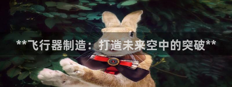 彩神邀请码:00-00-3267：**飞行器制造：打造未来空中的突破**