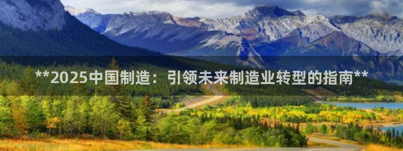 彩神viii下载安卓：**2025中国制造：引领未来制造业转型的指南**