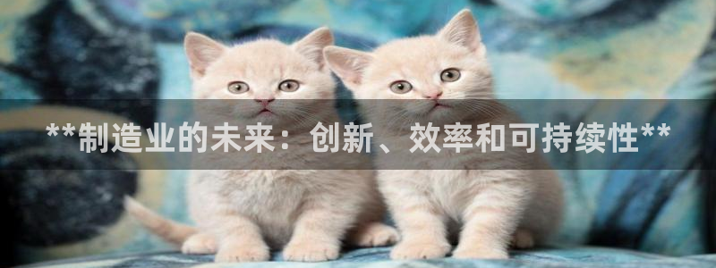 大发彩神官网下载：**制造业的未来：创新、效率和可持续性**