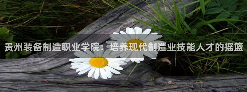 彩神新微聊