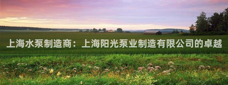 彩神vlll官网网上购彩：上海水泵制造商：上海阳光泵业制造有限公司的卓越